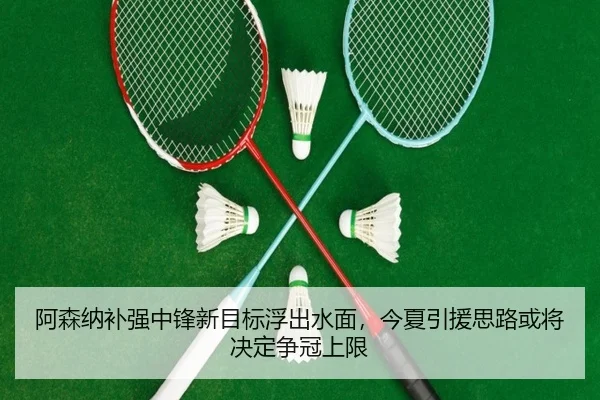 阿森纳补强中锋新目标浮出水面，今夏引援思路或将决定争冠上限